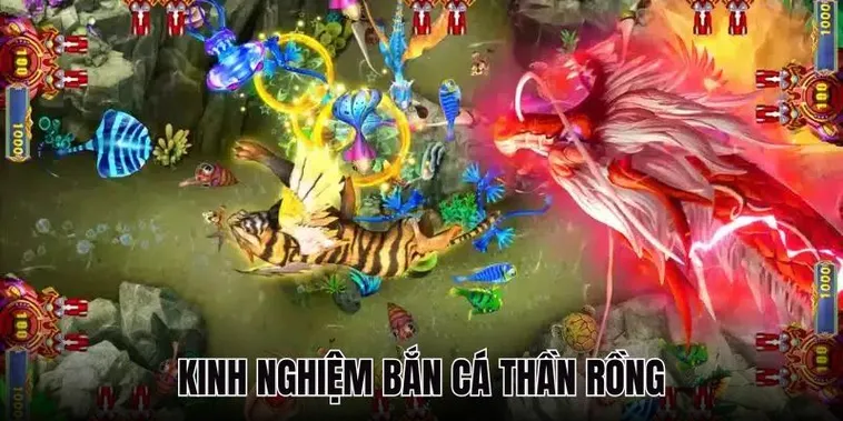 Mẹo Chơi Bắn Cá Rồng 6623 Hiệu Quả Săn Thưởng Khủng Nhanh